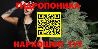 не бодяженный Можга
