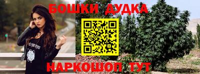 прущие грибы Моздок