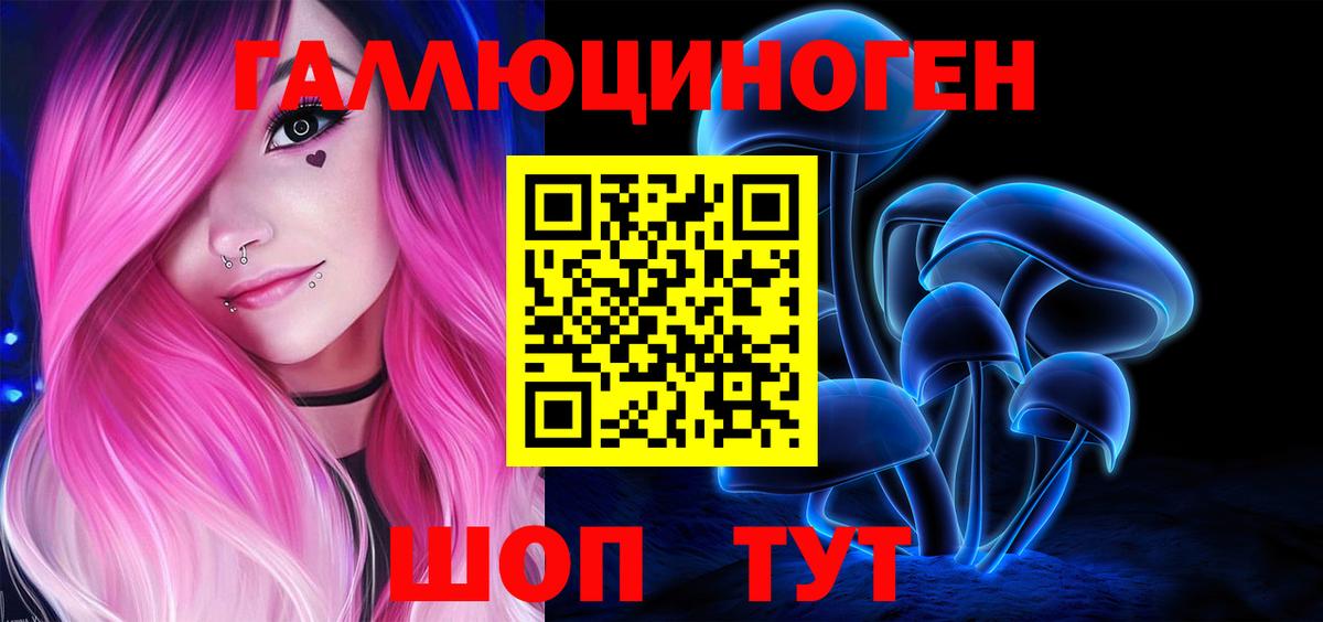 Псилоцибиновые грибы Psilocybe Алапаевск