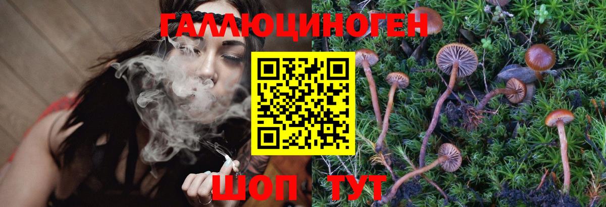 Псилоцибиновые грибы Psilocybe  Псилоцибиновые грибы прущие грибы  Алапаевск  Вход с VPN 